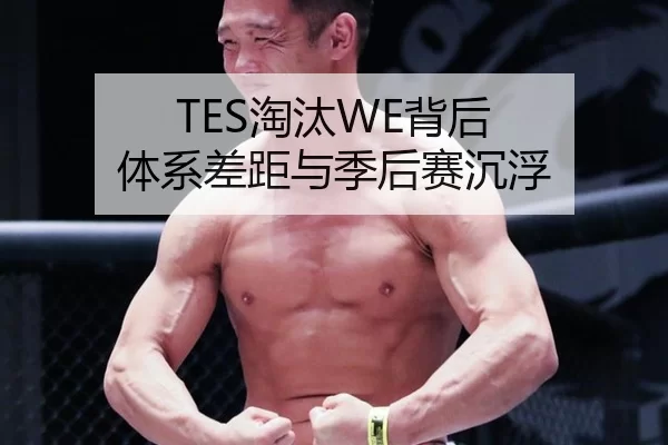 TES淘汰WE背后 体系差距与季后赛沉浮